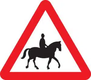 accompanied horses
