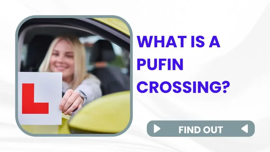 What Is a PUFIN crossing?